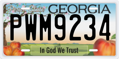 GA license plate PWM9234
