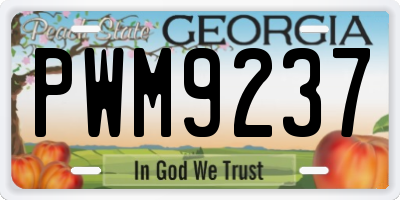 GA license plate PWM9237