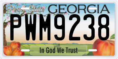 GA license plate PWM9238