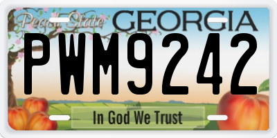 GA license plate PWM9242