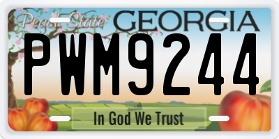 GA license plate PWM9244