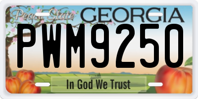 GA license plate PWM9250