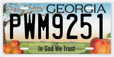 GA license plate PWM9251