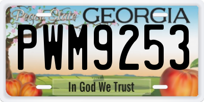 GA license plate PWM9253