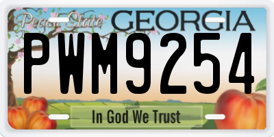 GA license plate PWM9254