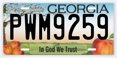 GA license plate PWM9259