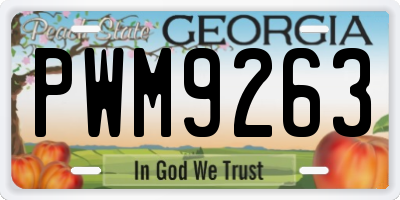 GA license plate PWM9263