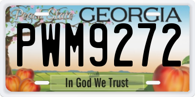 GA license plate PWM9272