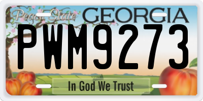 GA license plate PWM9273
