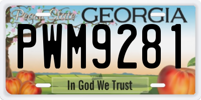 GA license plate PWM9281