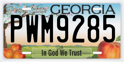 GA license plate PWM9285