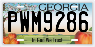 GA license plate PWM9286
