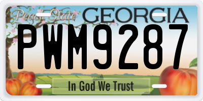 GA license plate PWM9287