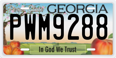 GA license plate PWM9288
