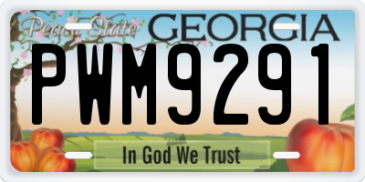 GA license plate PWM9291