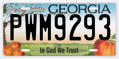 GA license plate PWM9293