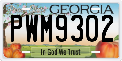 GA license plate PWM9302