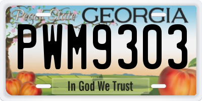 GA license plate PWM9303
