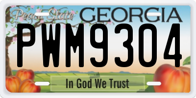 GA license plate PWM9304