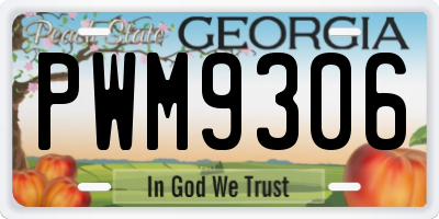 GA license plate PWM9306