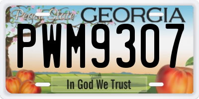 GA license plate PWM9307