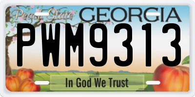 GA license plate PWM9313