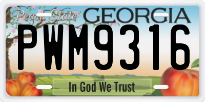 GA license plate PWM9316