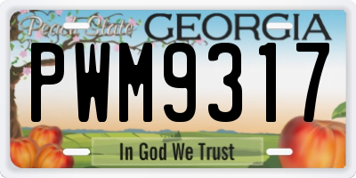 GA license plate PWM9317