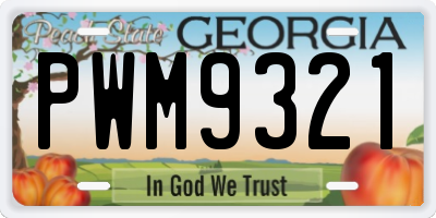 GA license plate PWM9321