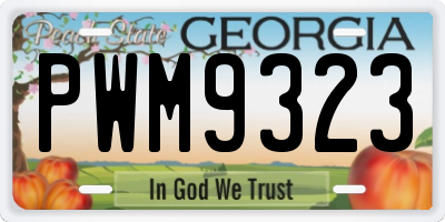 GA license plate PWM9323