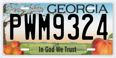 GA license plate PWM9324
