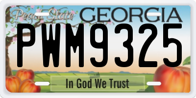 GA license plate PWM9325
