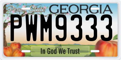 GA license plate PWM9333