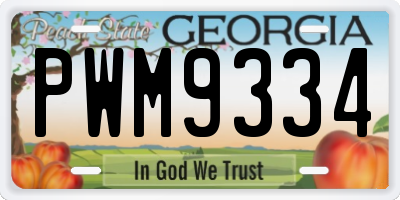 GA license plate PWM9334