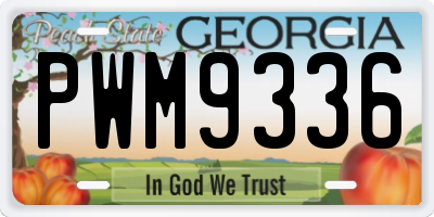 GA license plate PWM9336