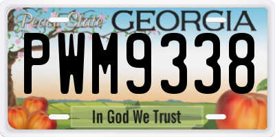 GA license plate PWM9338