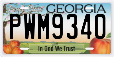 GA license plate PWM9340