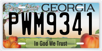GA license plate PWM9341