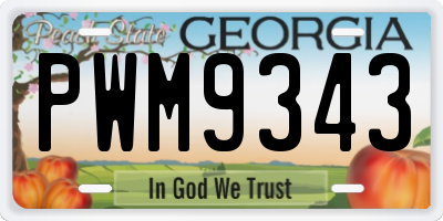 GA license plate PWM9343