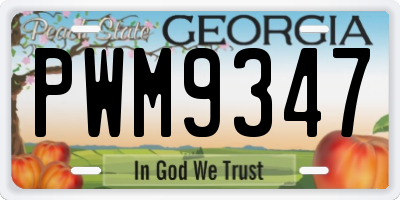 GA license plate PWM9347