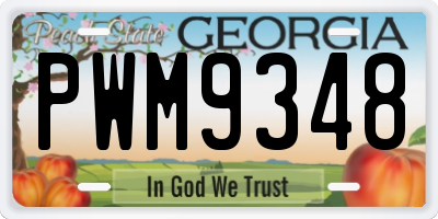 GA license plate PWM9348