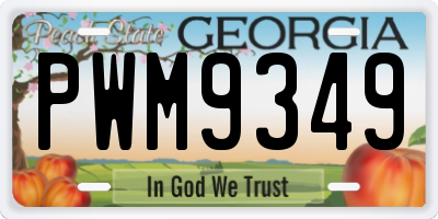 GA license plate PWM9349