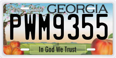 GA license plate PWM9355