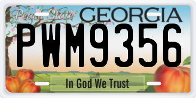 GA license plate PWM9356