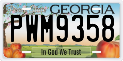 GA license plate PWM9358