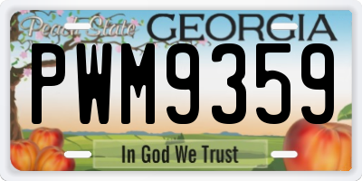 GA license plate PWM9359