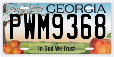 GA license plate PWM9368
