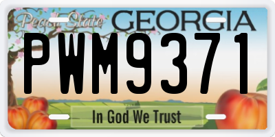 GA license plate PWM9371