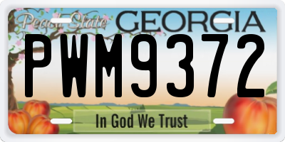 GA license plate PWM9372