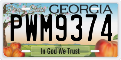 GA license plate PWM9374